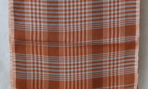 F221 Beautifully Woven Striped Silk Scarf