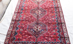 Persian Shiraz
