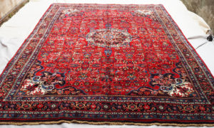Persian Bijar