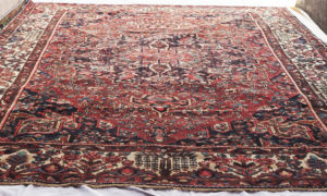 Persian Bakhtiari