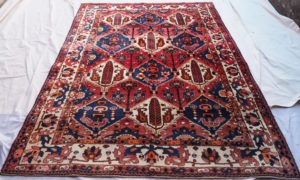 Persian Bakhtiari detail 2