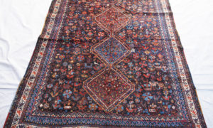 Persian Qashqai