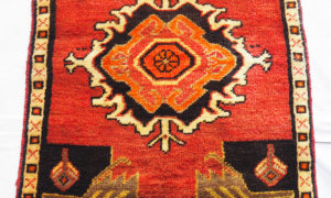 Turkish Sivas Kangal