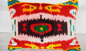 C729 Petite Velvet Ikat cushion